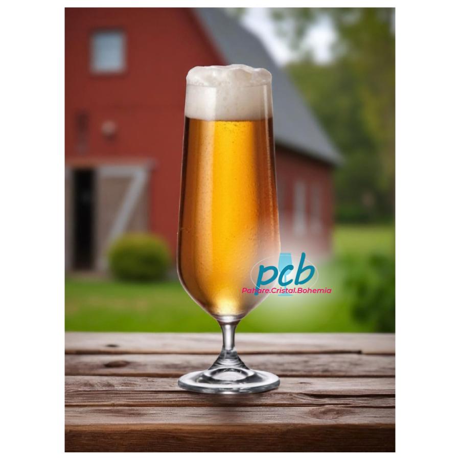 COLUMBA - Set 6 pahare sticla cristalina Bohemia bere 470 ml