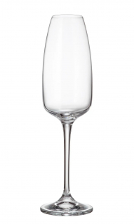ANSER - Set 6 pahare sticla cristalina sampanie 290 ml